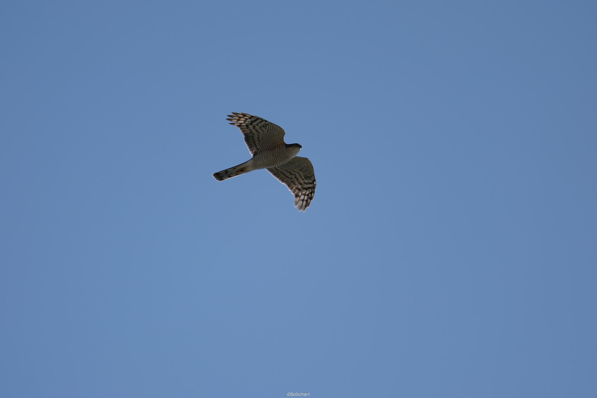 dscf5050