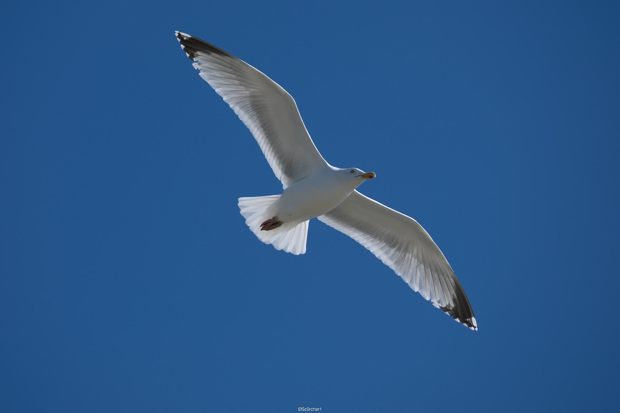 dscf5104