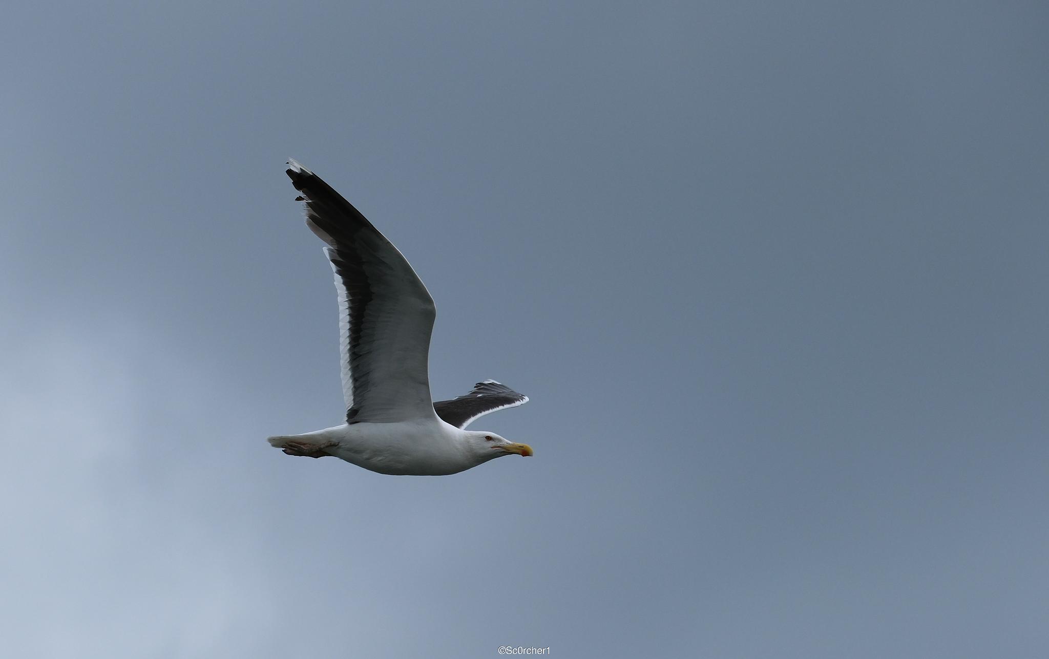 dscf5678